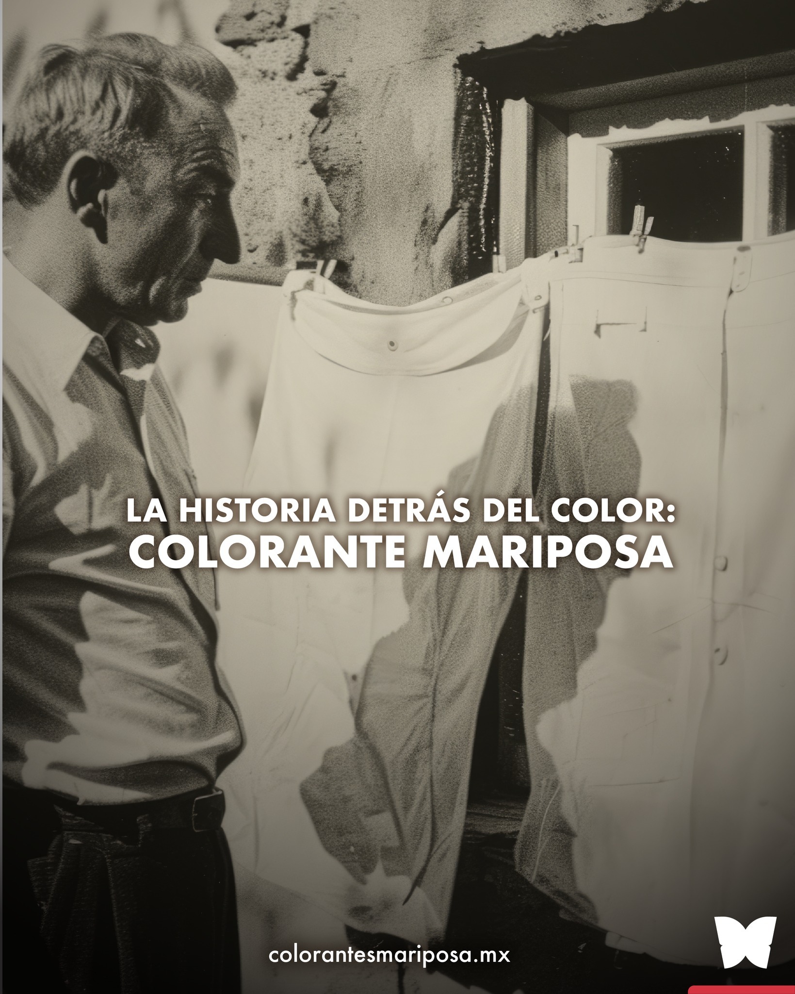 Instagram Mariposa