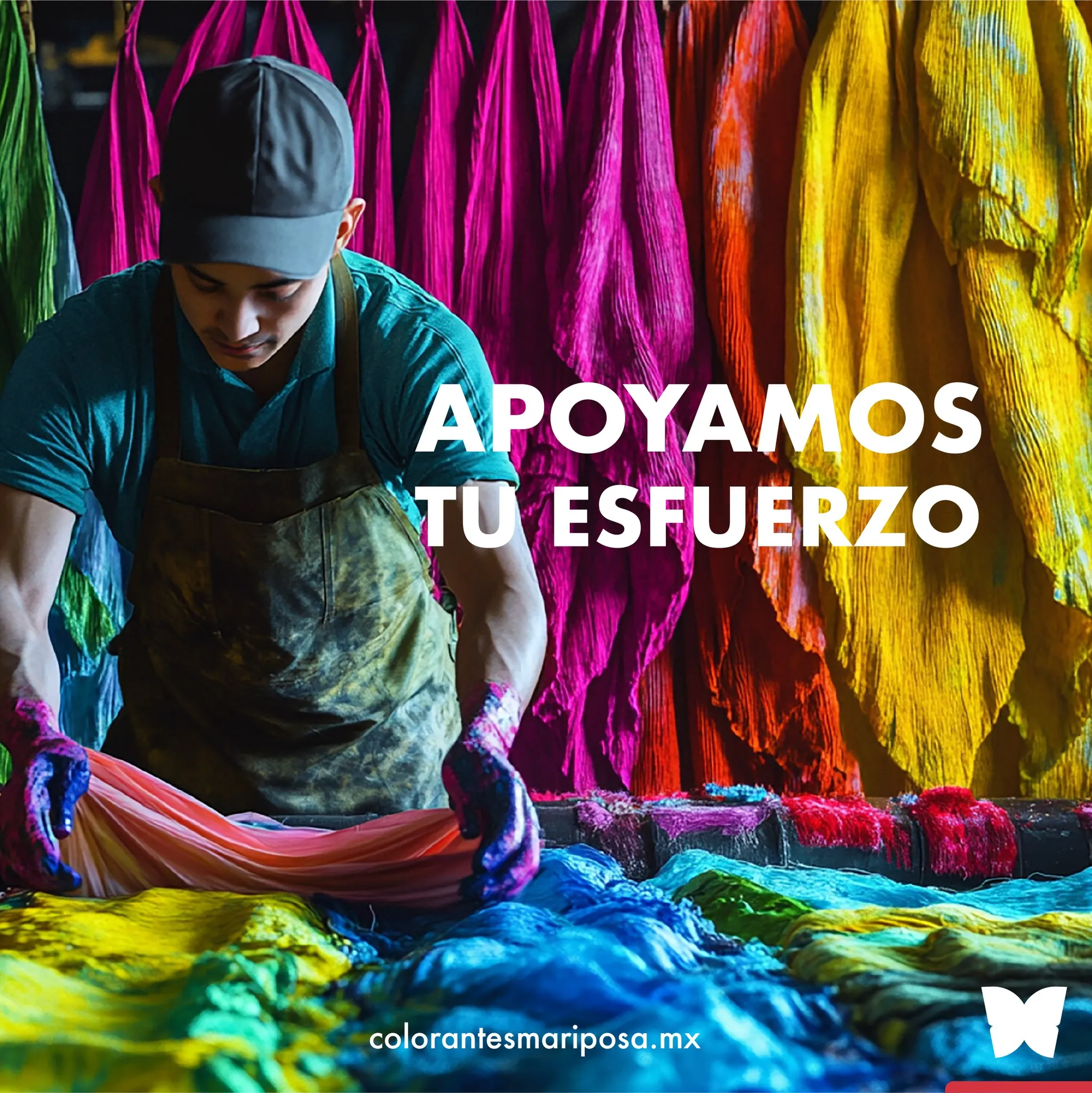 Instagram Mariposa